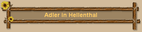 Adler in Hellenthal